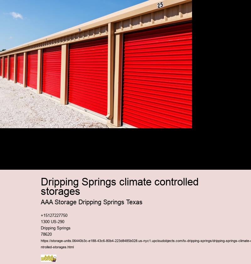 self storage dripping springs tx