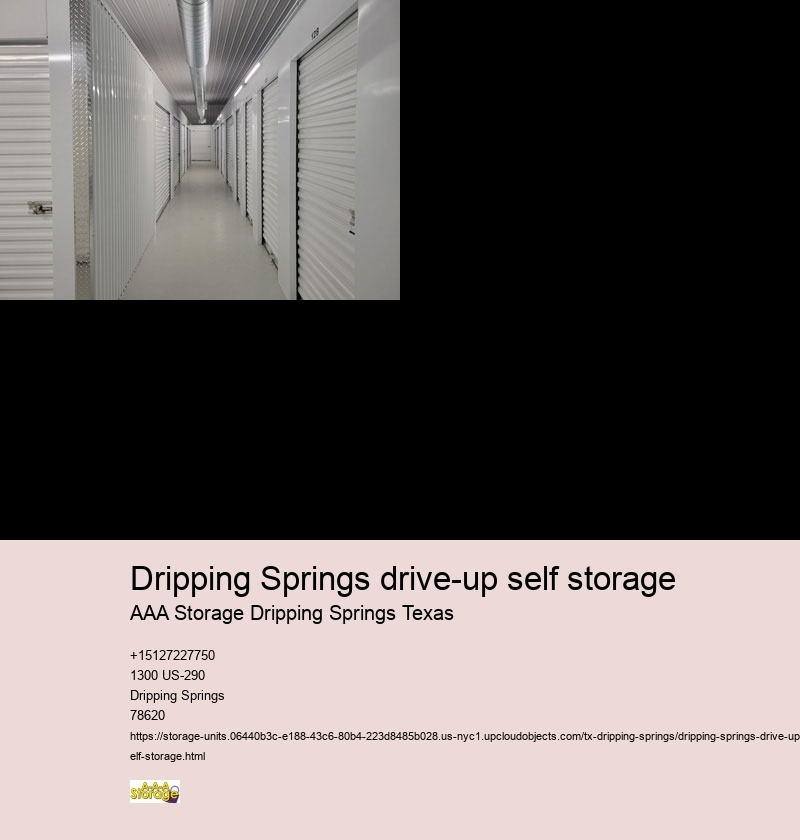 drive-upself storage units Dripping Springs