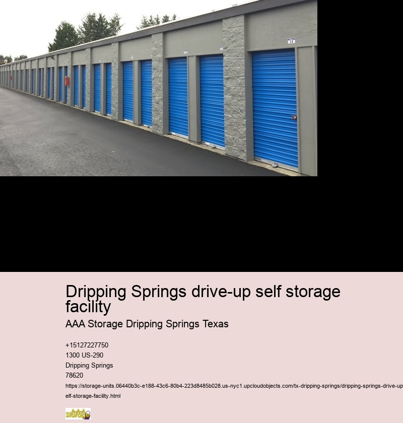climate controlled storage facilities near Dripping Springs