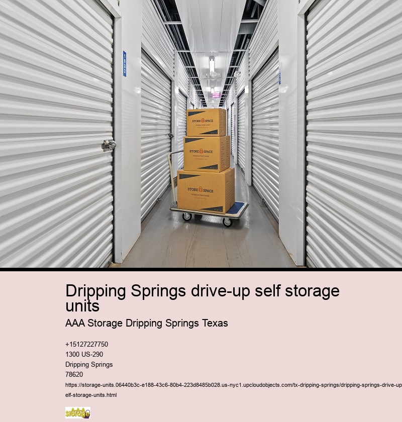 vehicle self storage near Dripping Springs