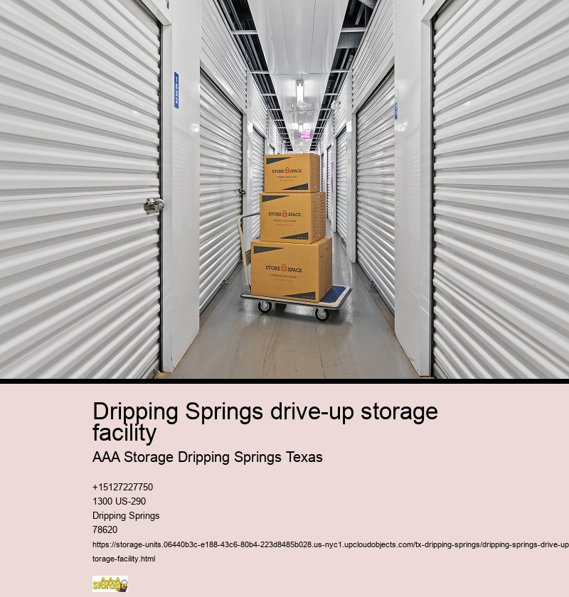 car self storage near Dripping Springs