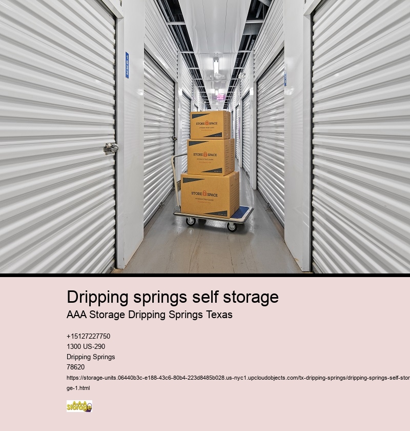 climate controlled storage units near Dripping Springs