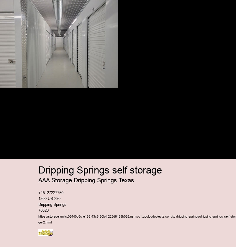 vehicle storage Dripping Springs