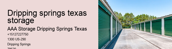 climate controlled storage facilities near Dripping Springs