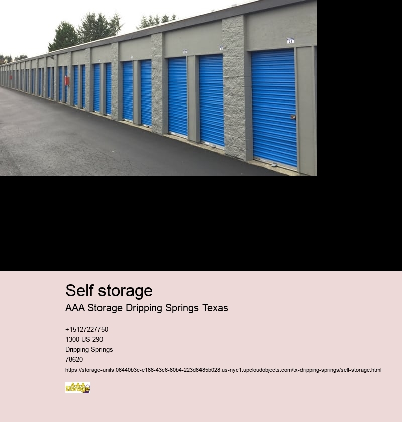 climate controlled self storage Dripping Springs